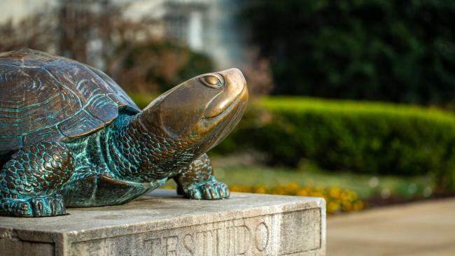 UMD mascot Testudo 